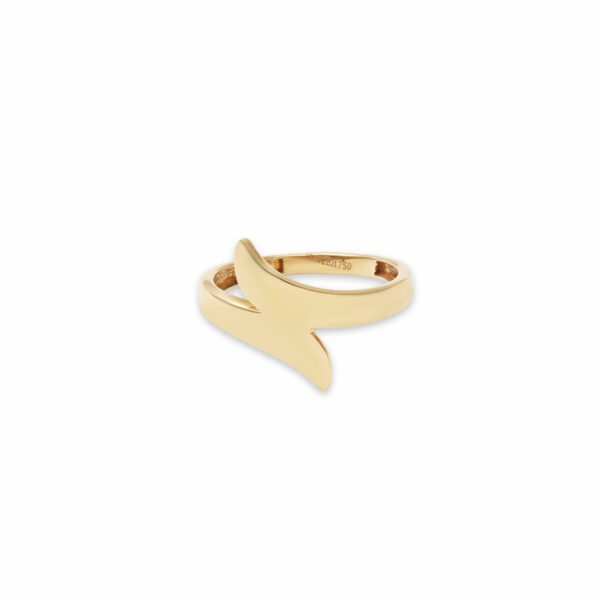 انگشتر ایرو