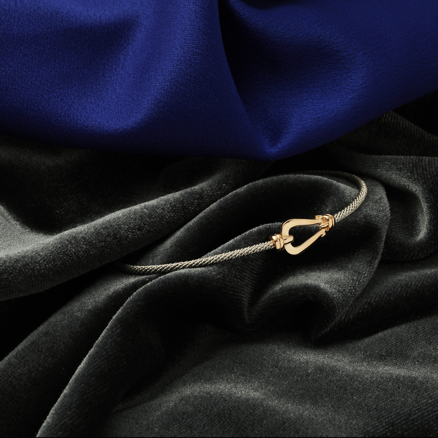 الی-ظریف-النگو-فر-د-امگا-2رنگ