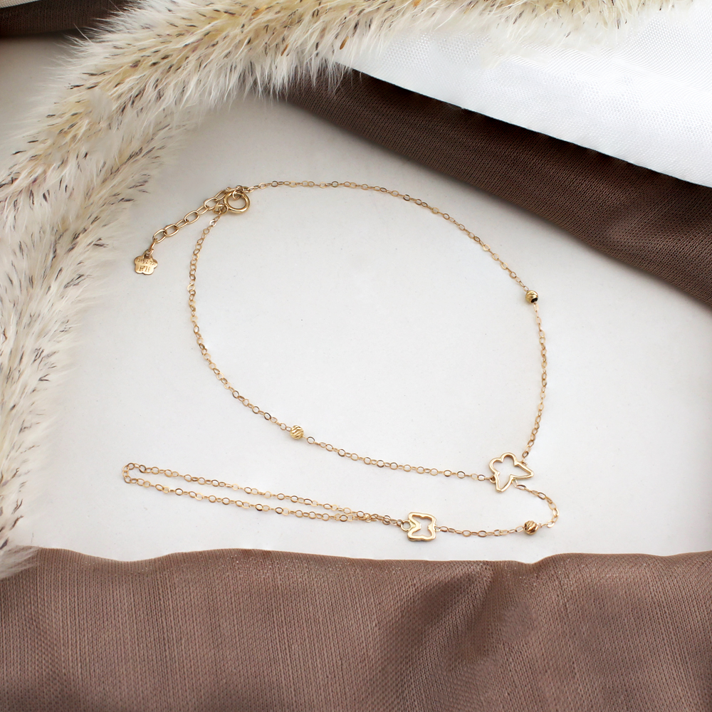 d عربی پروانه و البرناردو