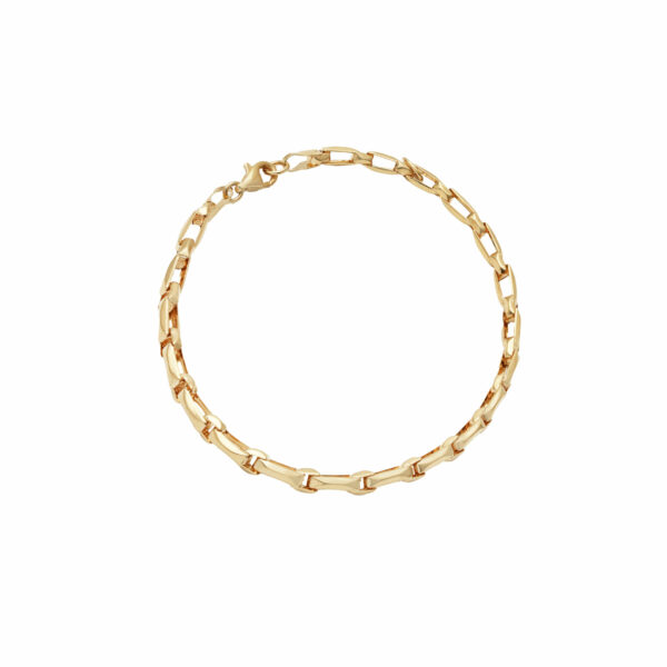 Continuous link bracelet