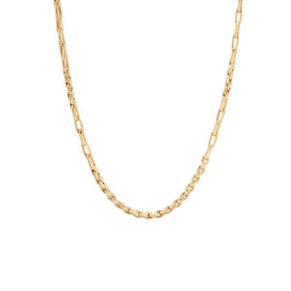 Middle Link Necklace