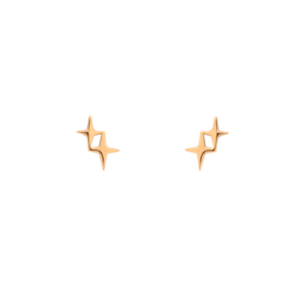 گوشواره شاین 1